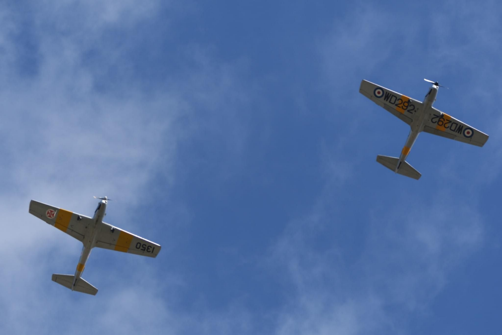 Chipmunk WD292 and Chipmunk AO in Formation